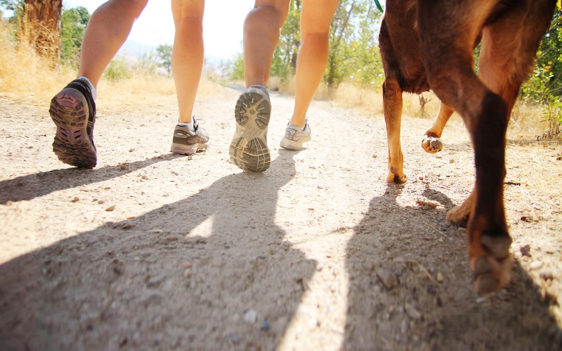 Why walking is underrated