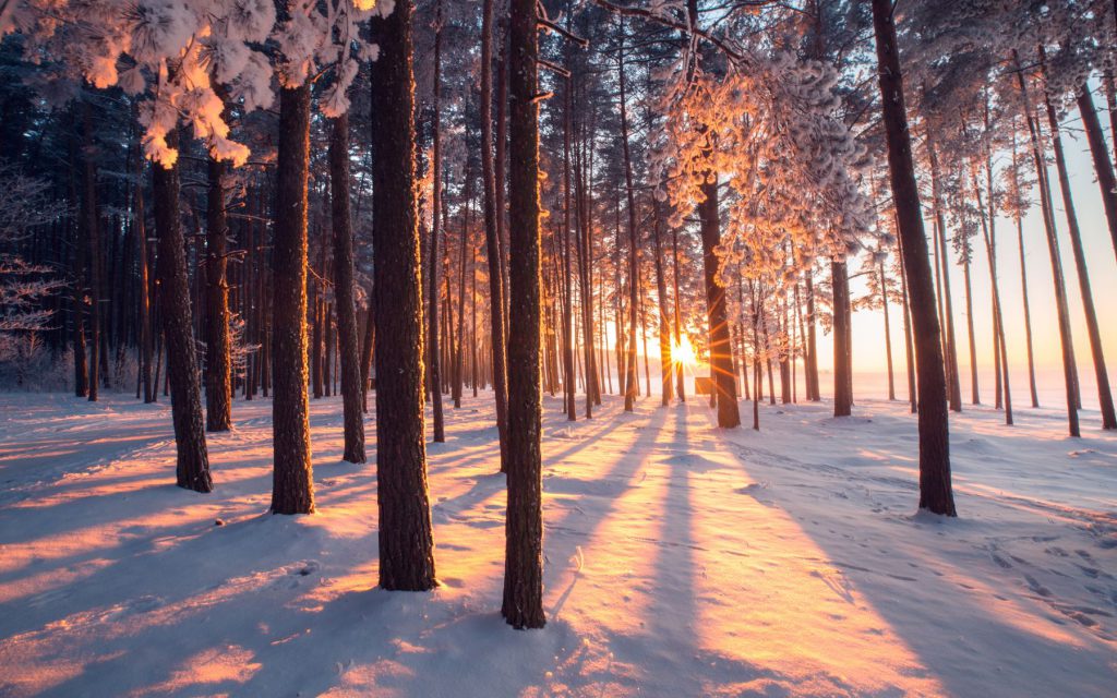 Staying motivated through winter