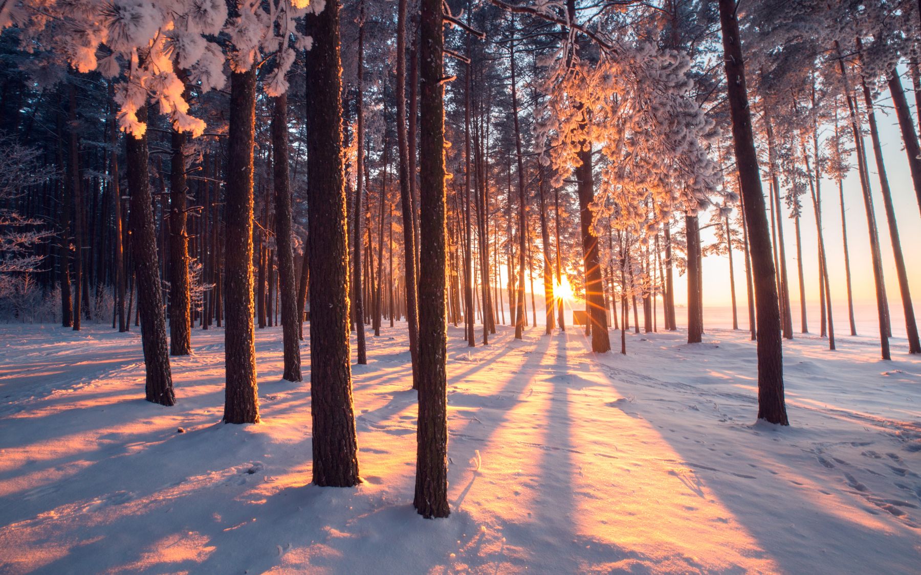Staying motivated through winter