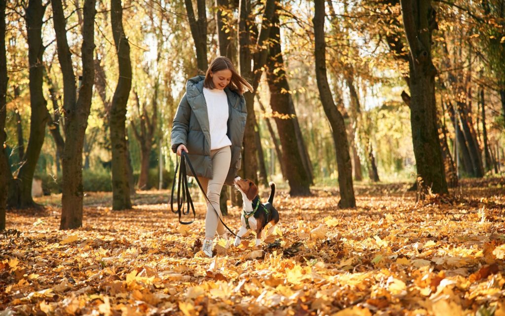 Why Walking Might Be Exactly What You Need This Autumn