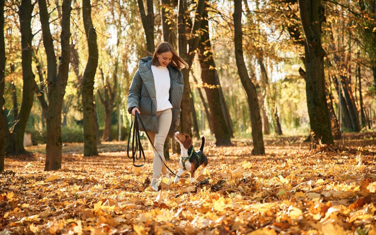 Why Walking Might Be Exactly What You Need This Autumn